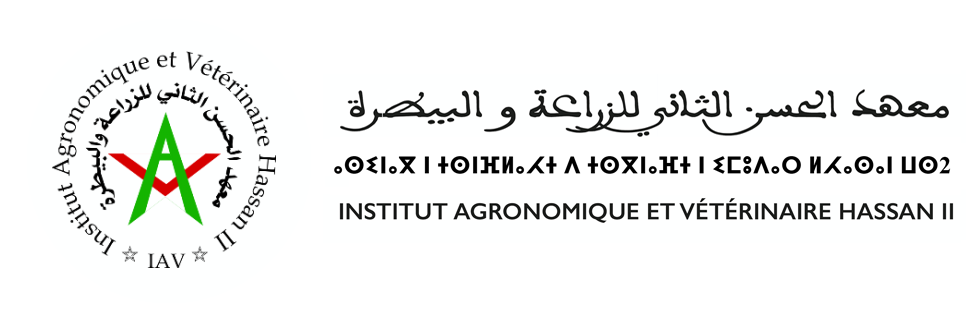 IAV Hassan 2 Logo